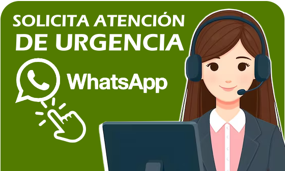 Imagen de contacto por WhatsApp